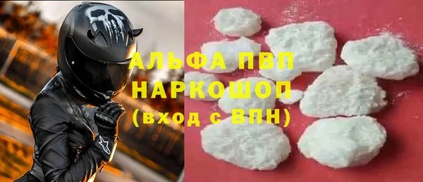 стаф Алексин