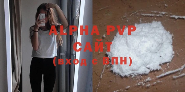 стаф Алексин
