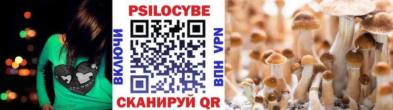 Галлюциногенные грибы Magic Shrooms  KRAKEN ссылки  Каменск-Шахтинский 