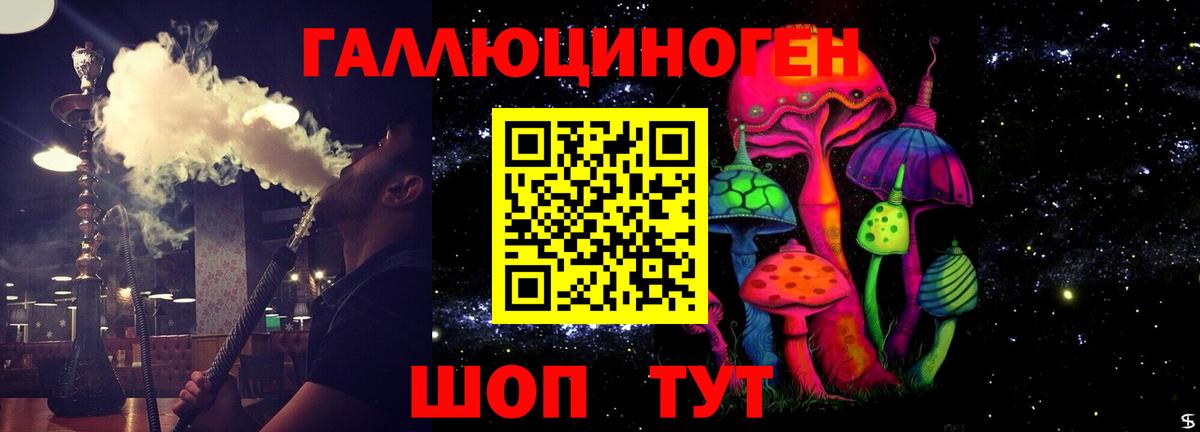 Каменск-Шахтинский  Галлюциногенные грибы Psilocybine cubensis  Вход с VPN 